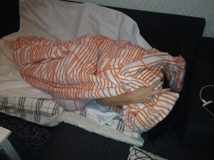 Dina before the mayhem